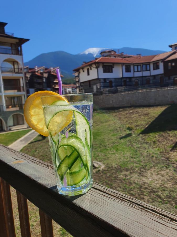Koko'S Apartments 2 Bansko Buitenkant foto